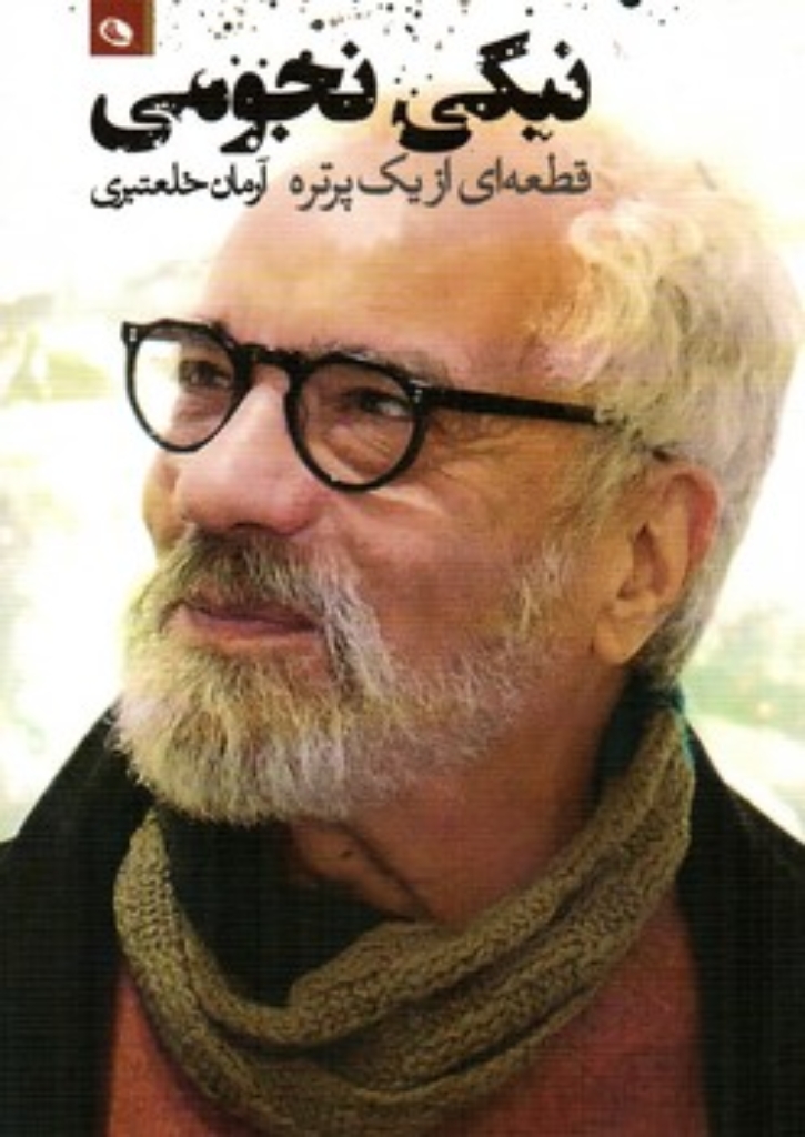 تصویر  قطعه ای از یک پرتره - نیکی نجومی(رقعی-شمیز)